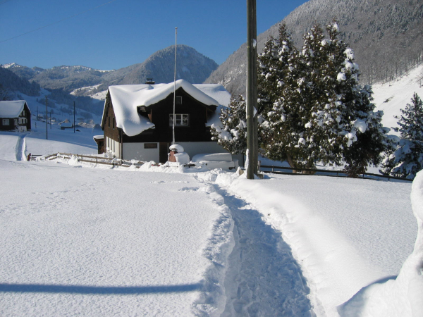 Die Ski-Hütte des Ski-Clubs Wülflingen